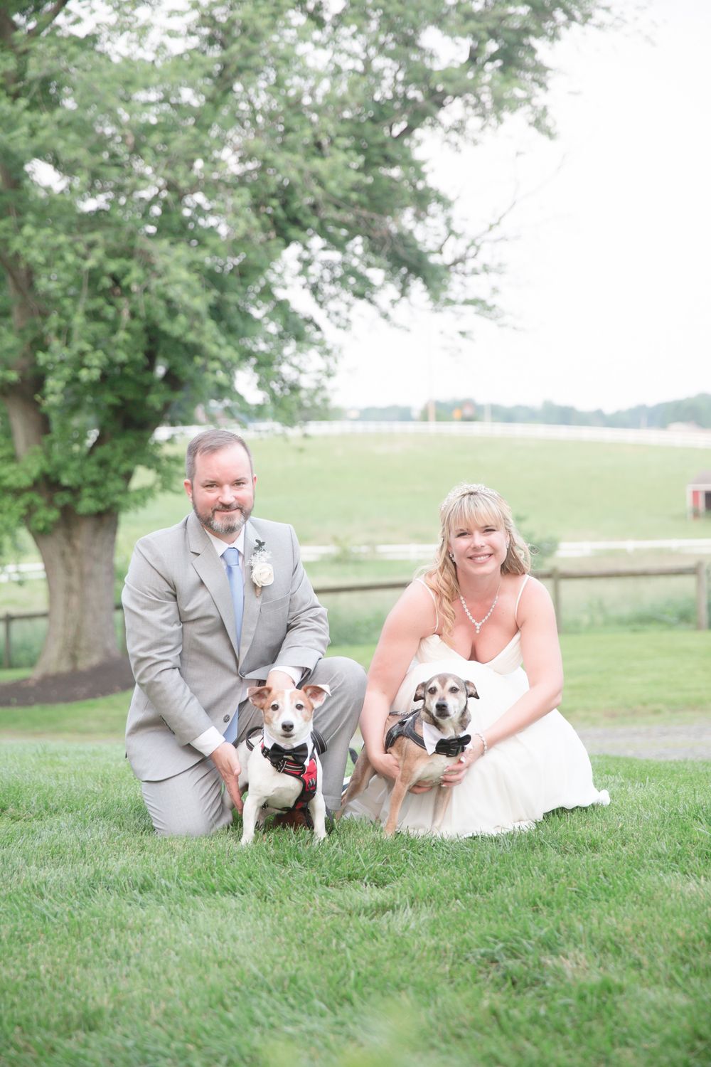 A newlywed couple poses with their two dogs on grassy grounds during their wedding celebration.