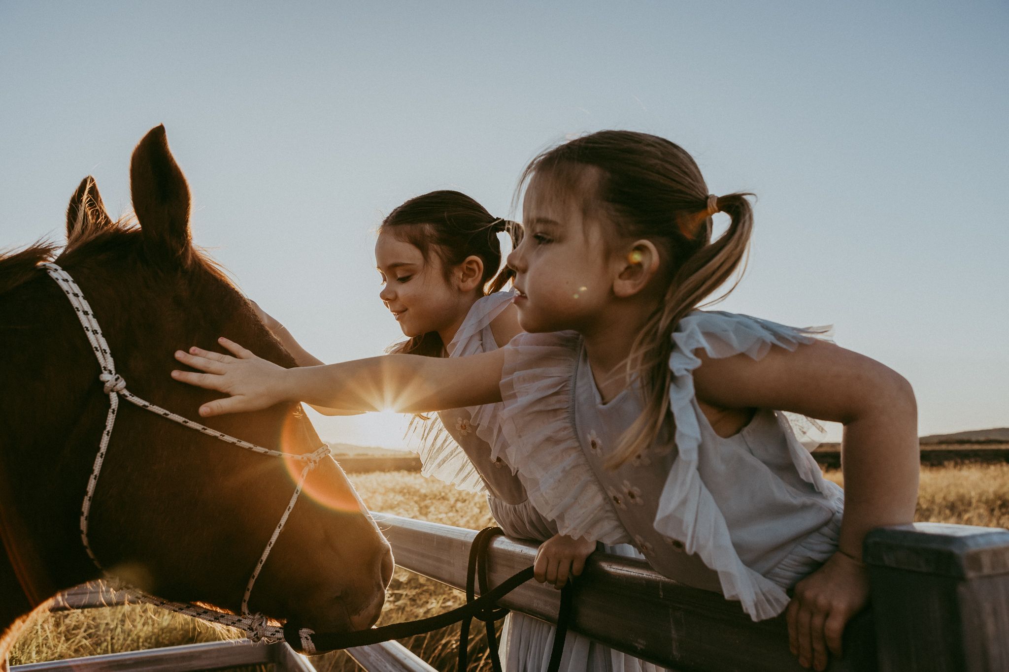 Two young girls petting a brown horse over a fence at golden sunset.