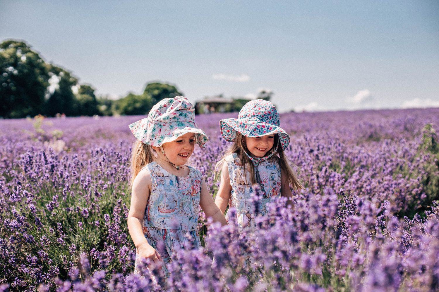 Twins in lavender