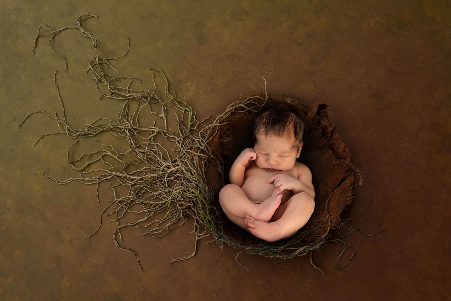 Sleeping baby curled up in natural brown nest setting with organic textures.