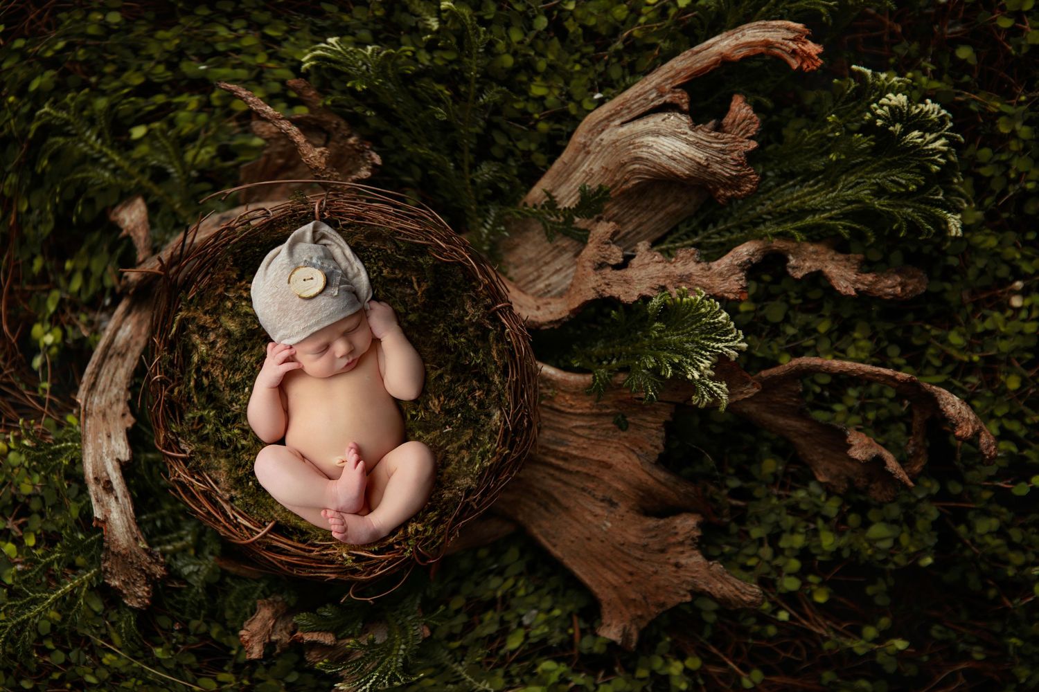 Serene newborn photography setup with baby nestled in rustic wooden log surrounded by greenery.