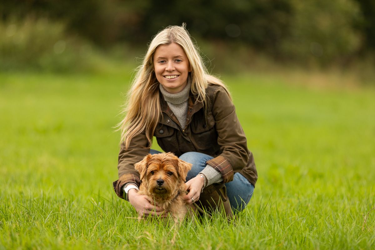 Golden retriever dog sits in green grass field with autumn backdrop.