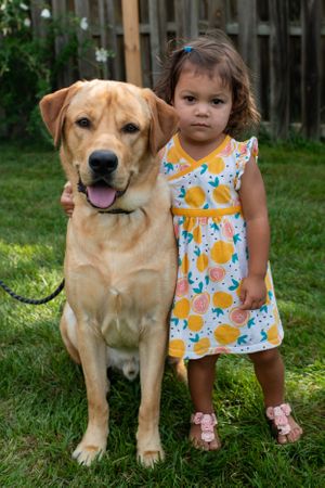 Family Photography Pet Portraits Dog