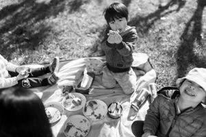 Picnics in the sun