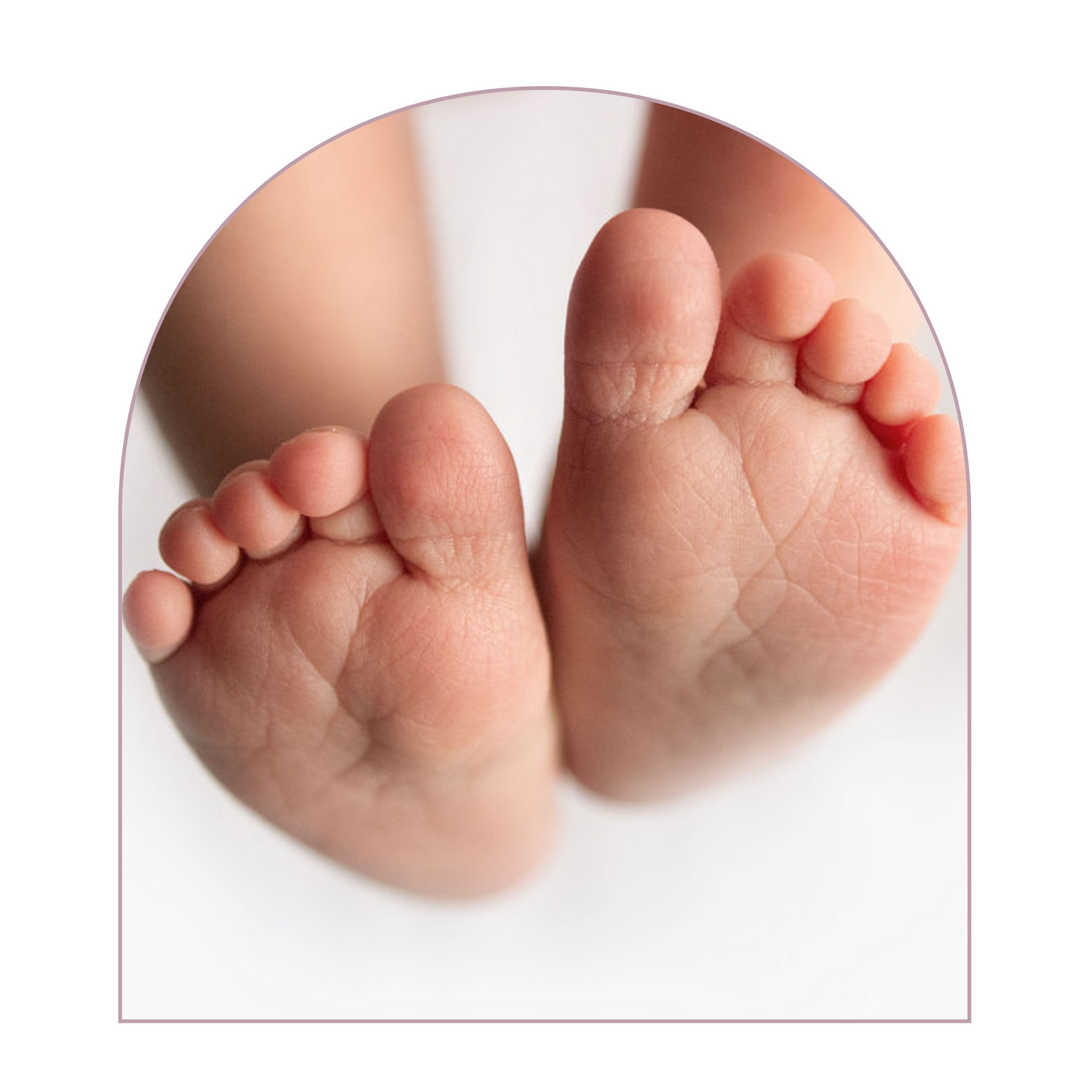 Close-up view of tiny newborn baby feet against a white background.