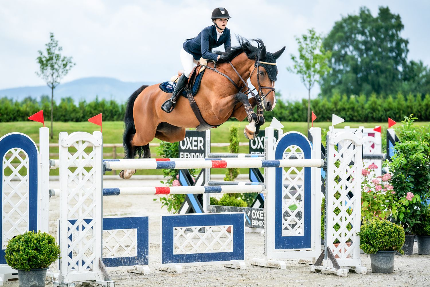 Show jumper on a brown horse clearing a decorative blue and white obstacle course fence.