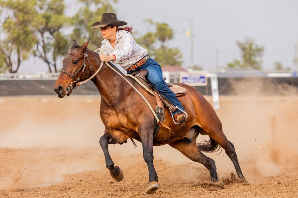A brown horse kicks up dust while making a sharp turn in a western riding competition.