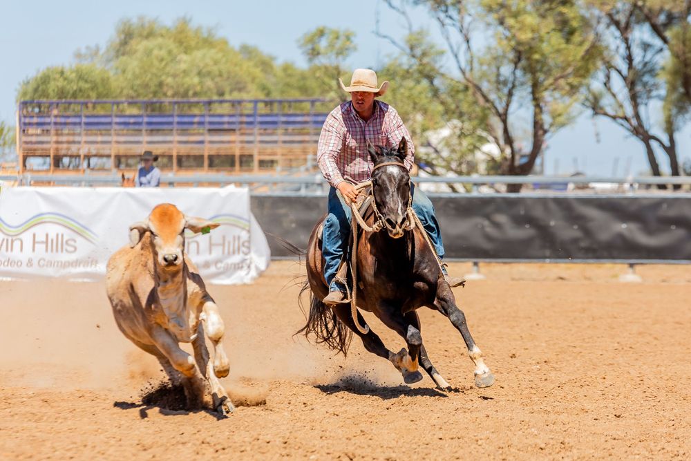 A horse and rider chase after a calf during an intense rodeo competition.