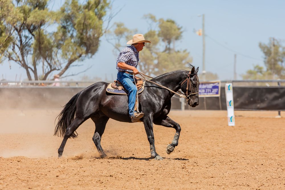 A black horse and rider gallop through a dusty arena during a western riding competition.