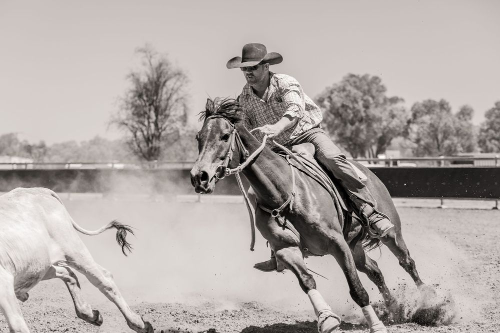 A dramatic black and white action shot of horse and rider chasing cattle in a rodeo arena.