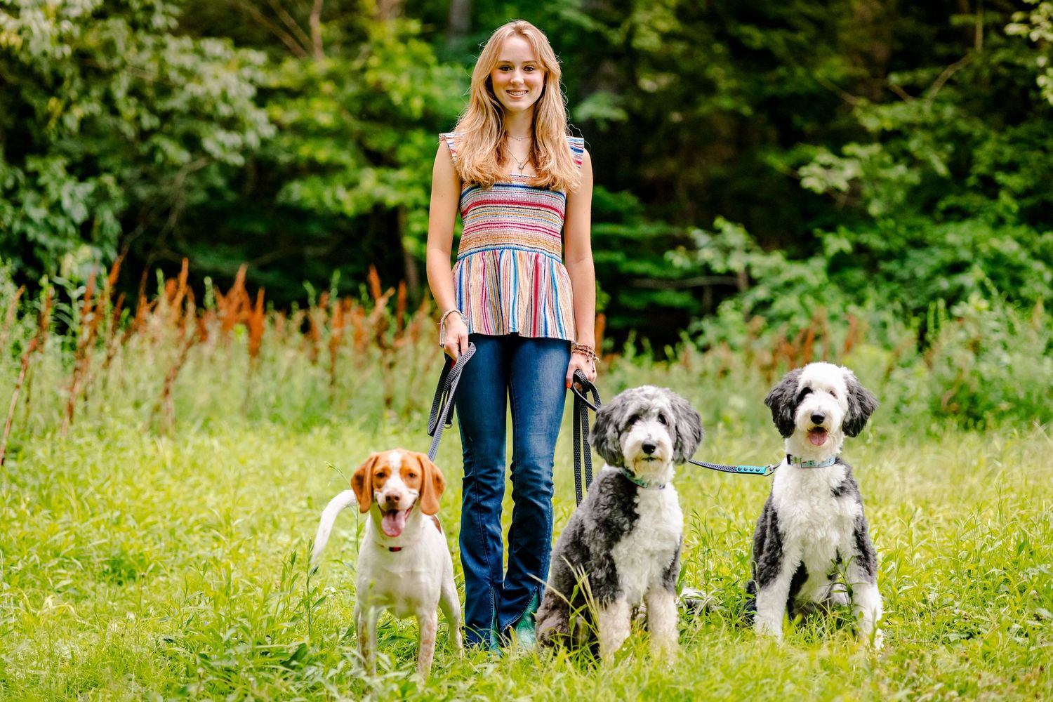 Three dogs of different breeds pose with their owner in summer meadow.