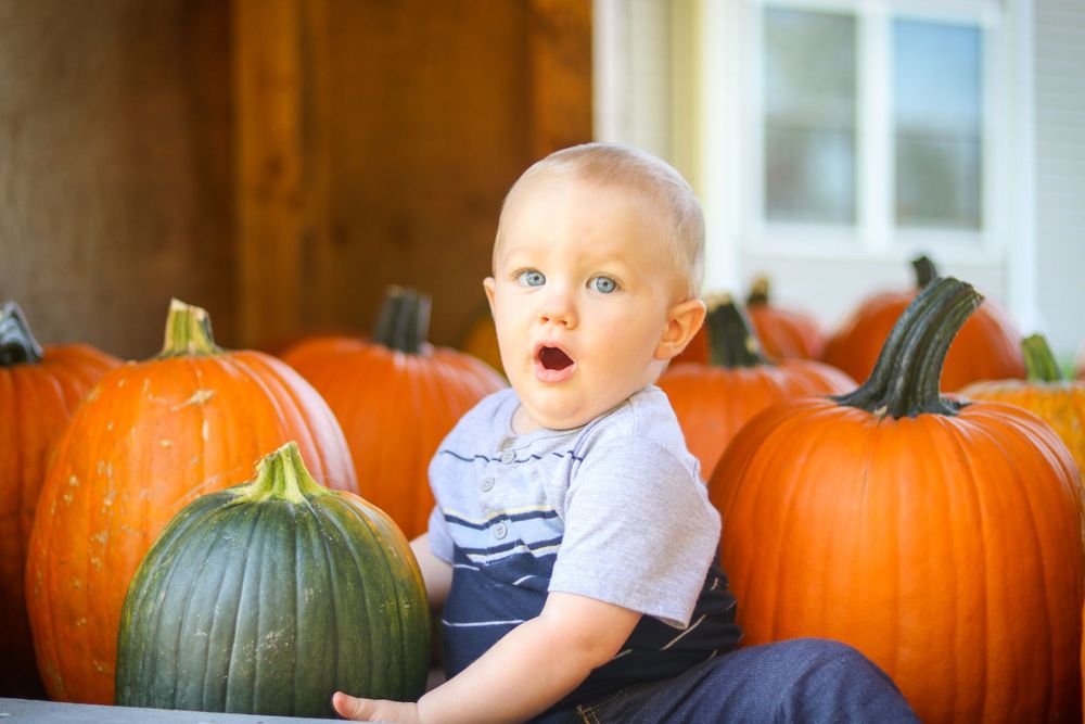 Let Pleasant Photography do your children's photoshoot quickly and professionally! Naomi Parfitt