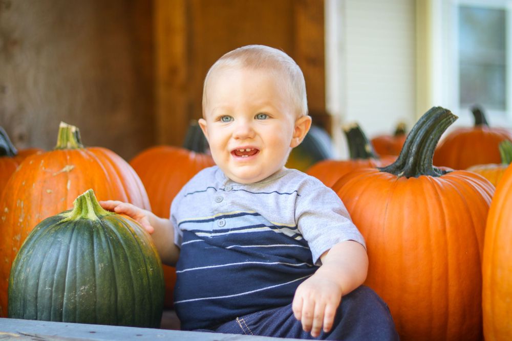 Let Pleasant Photography do your children's photoshoot quickly and professionally! Naomi Parfitt