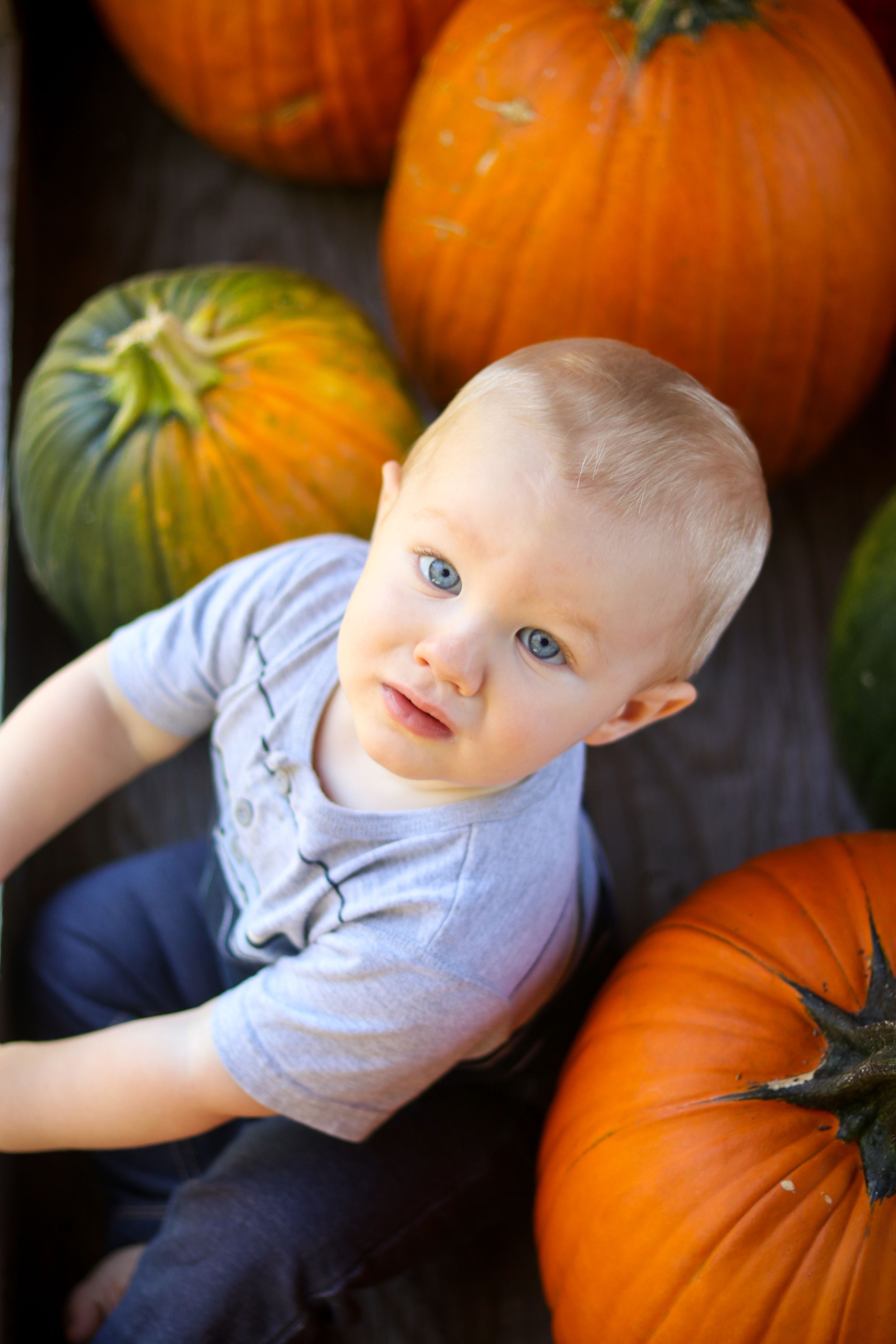 Let Pleasant Photography do your children's photoshoot quickly and professionally! Naomi Parfitt