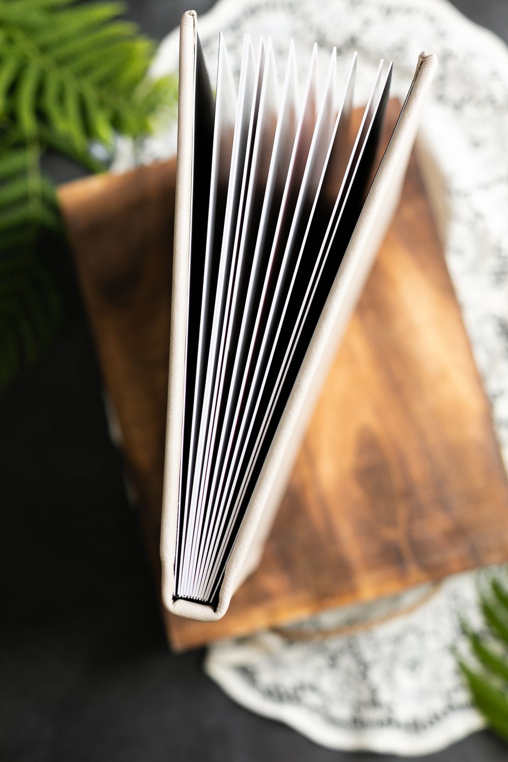 Orlando Newborn Photography photo album