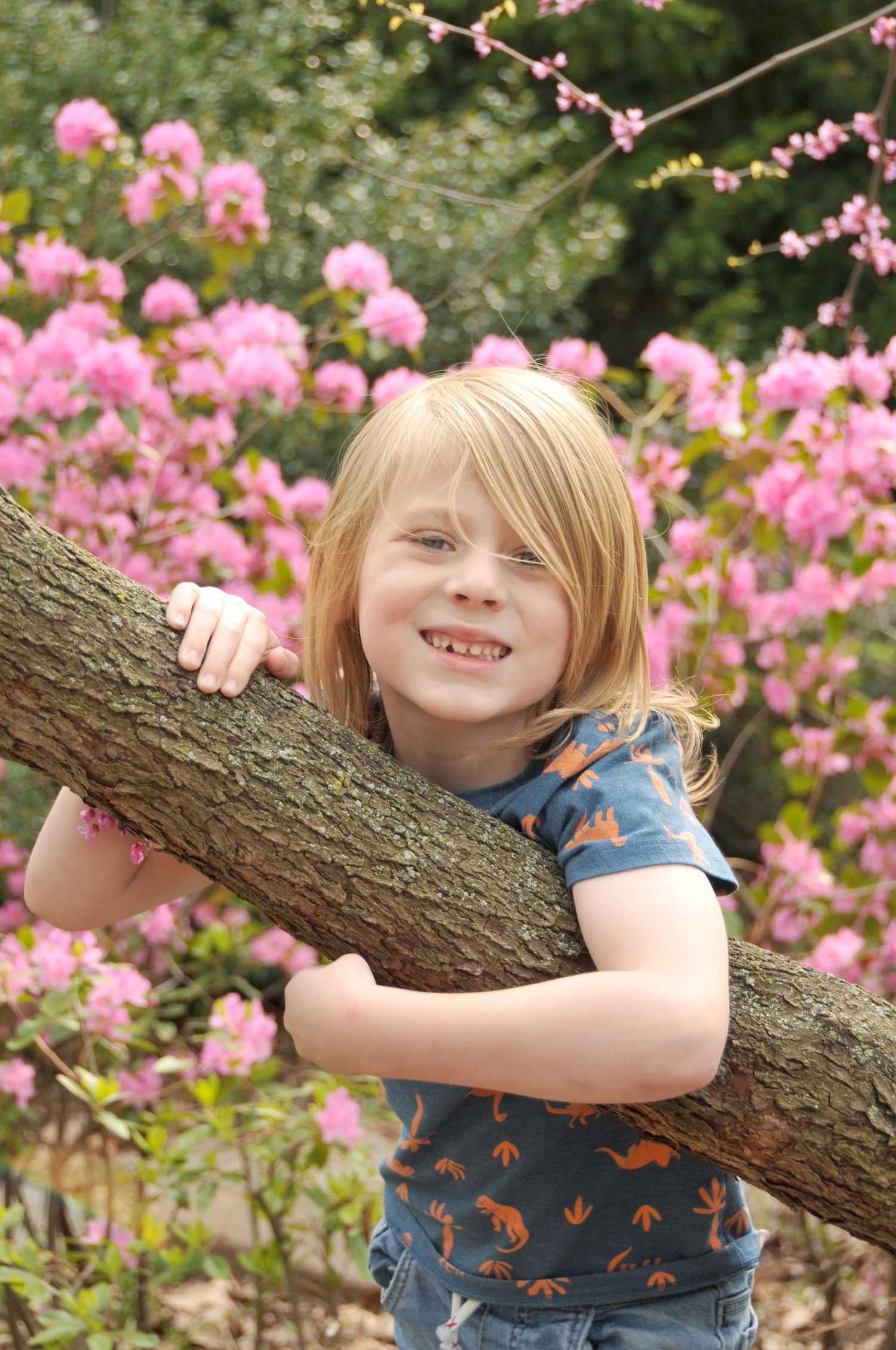 Young boy with spring blossoms photo