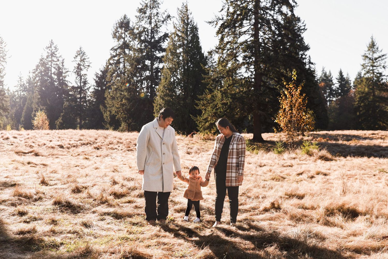 Three people walking together hand in hand through a sunlit field with evergreen trees.