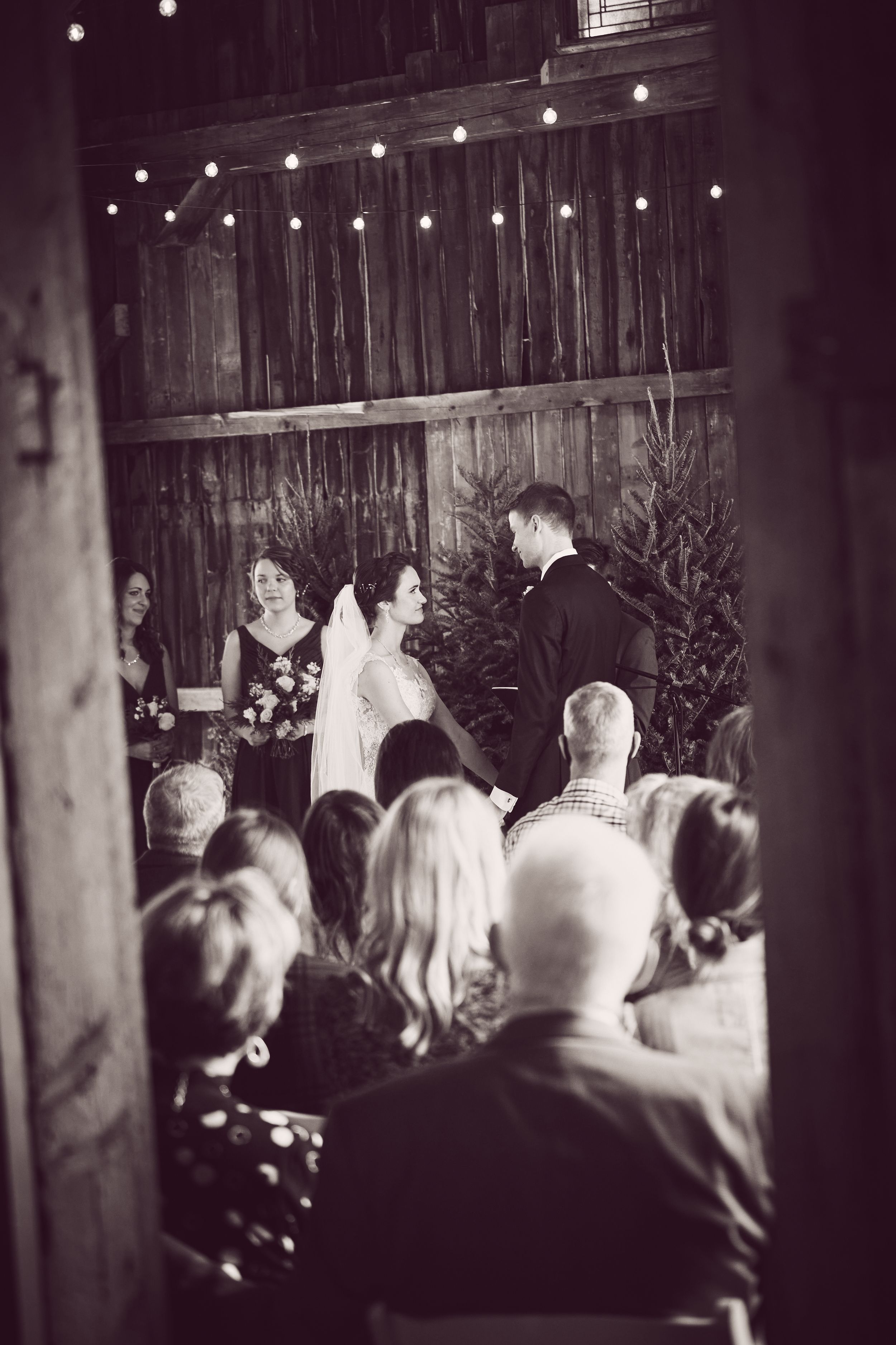Best Milwaukee Wedding Photographers