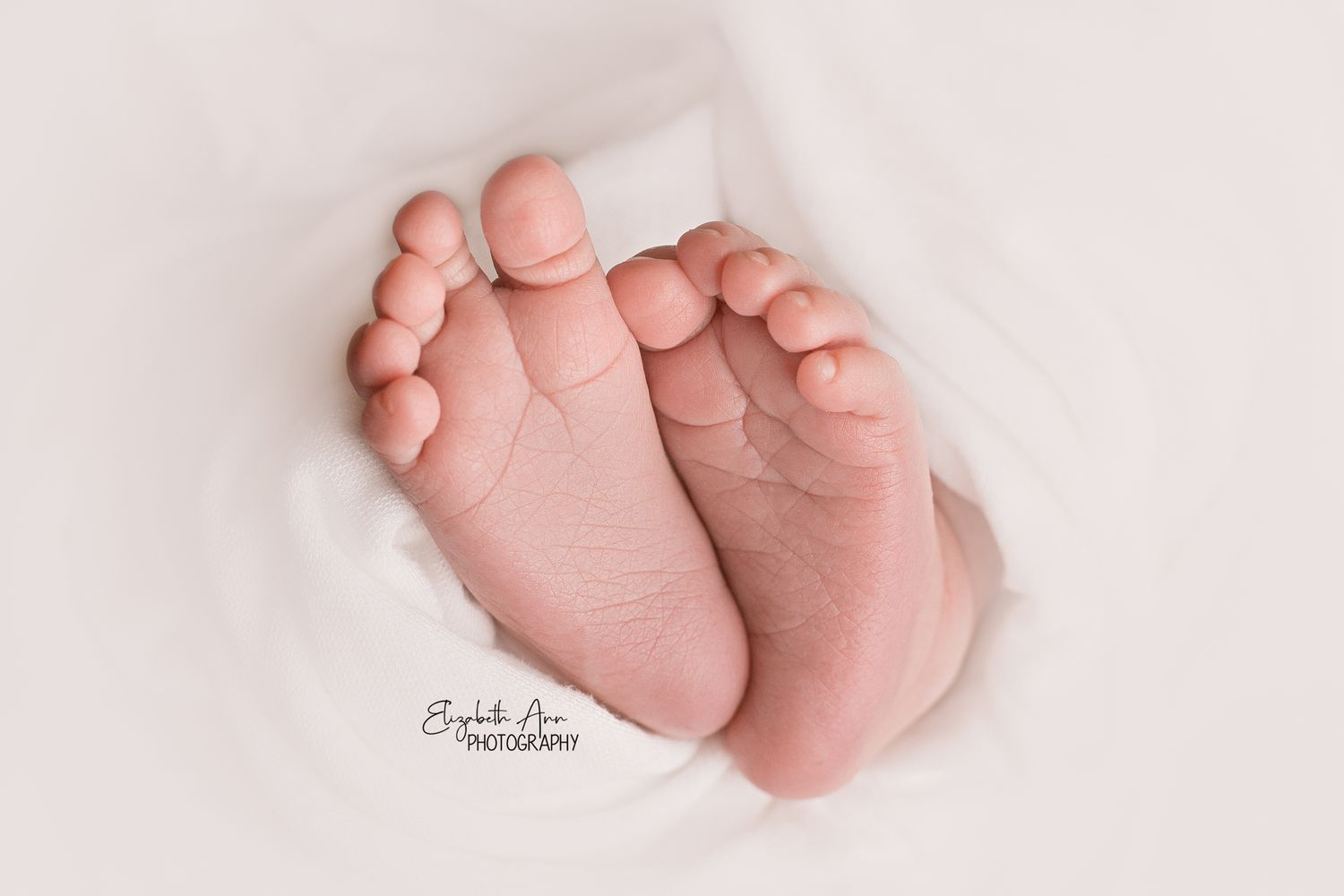detailed newborn feet and toes with white backdrop; Elizabeth Ann Photography Wisconsin