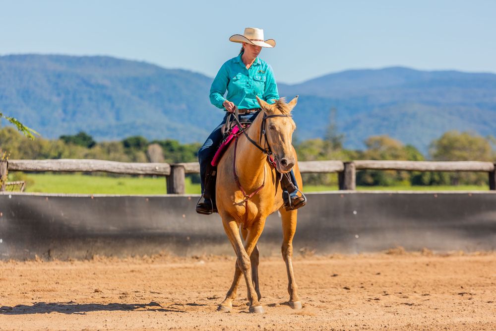 Western style horsemanship demonstration in dusty arena with mountains in background.