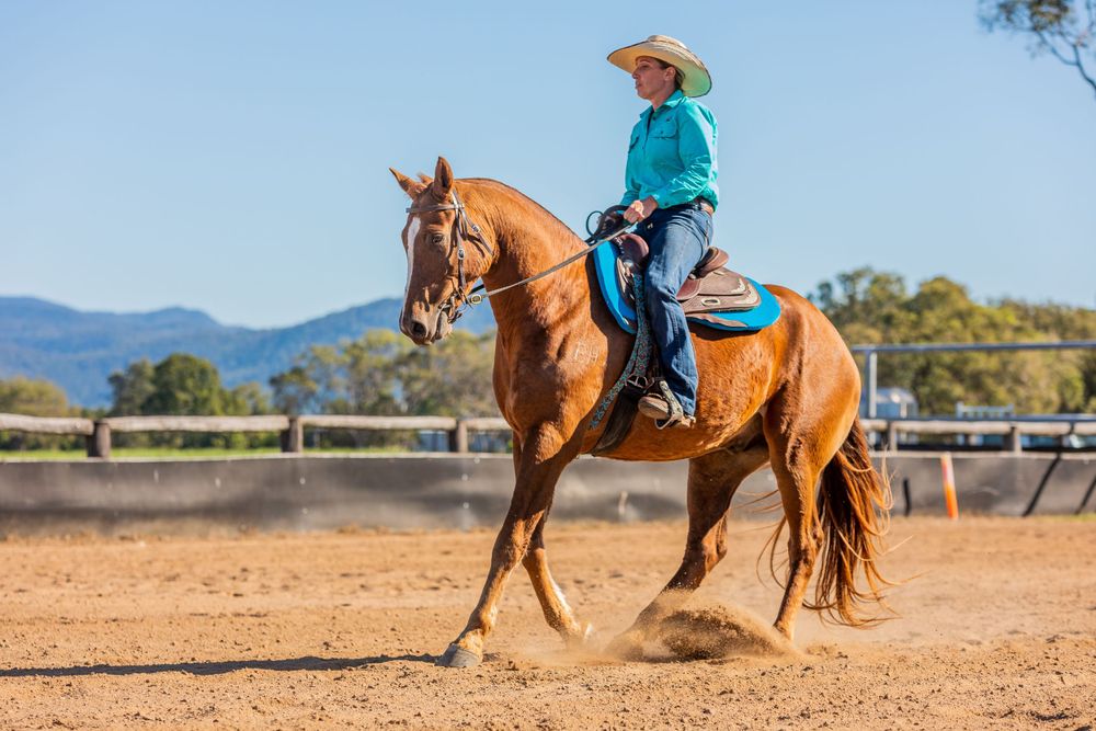 Chestnut horse performing western riding movements in outdoor arena with mountain views.