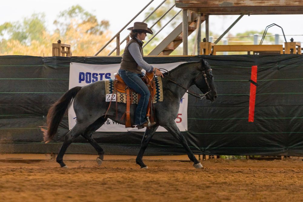 Genine and storm competing in the Western Pleasure class at the drylanders Ranch Versatility show.