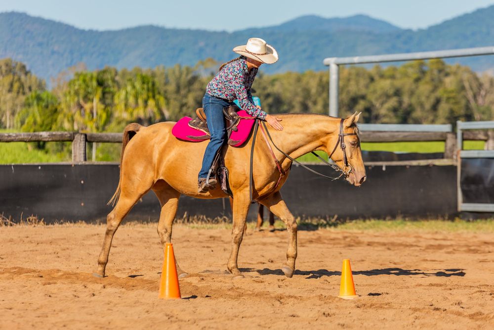 Rider guiding palomino horse through orange cones in sandy arena with mountains in background.