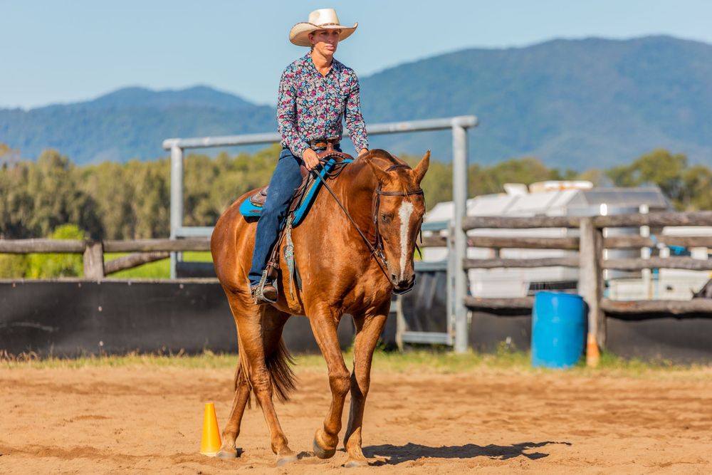 Palomino horse and rider working through training exercise with orange cones in outdoor arena.