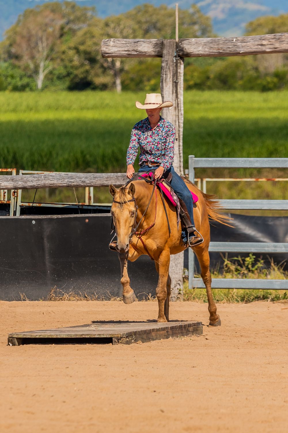 Chestnut horse navigating wooden obstacle course in sandy training arena.