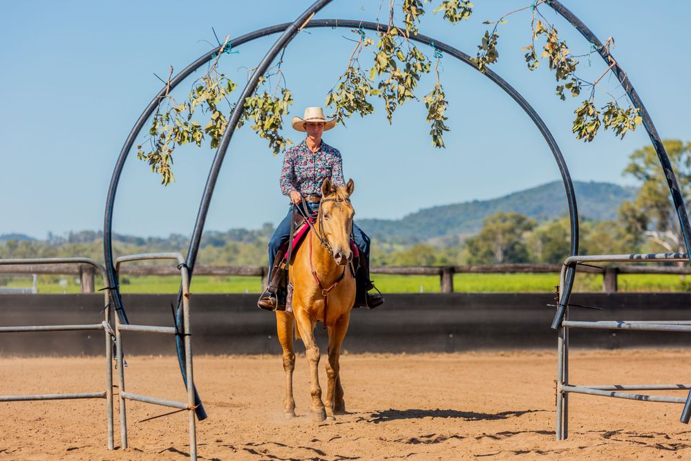 Horse and rider passing under decorative metal arch with flowering vines in training arena.