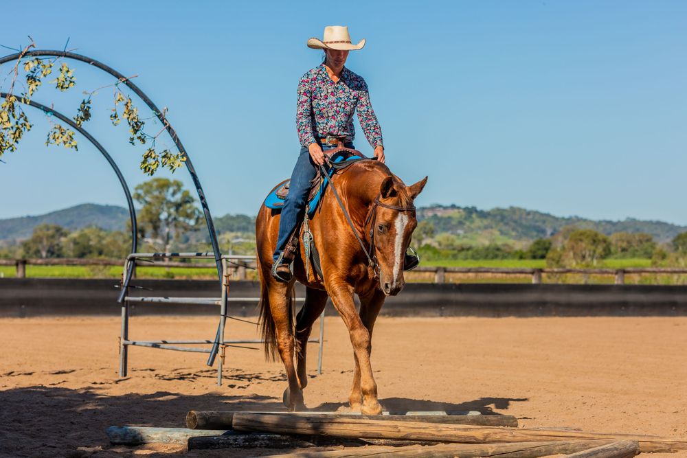 Chestnut horse practicing under metal arch structure in outdoor riding arena.