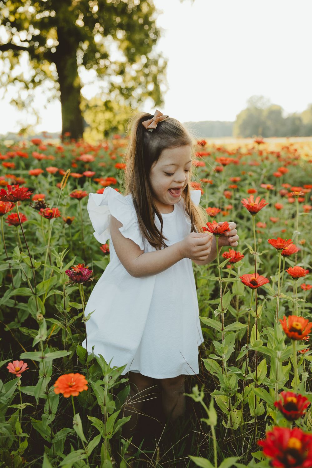 Figure in white dress explores field of vibrant orange zinnias during golden hour.