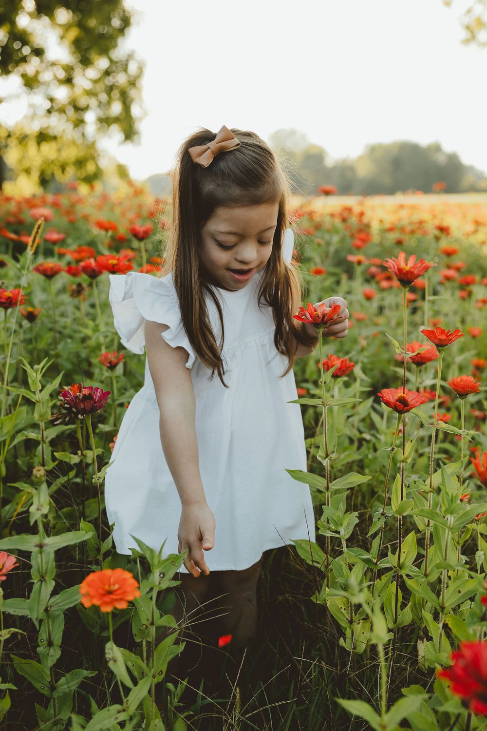 Figure in white dress bends to examine orange flowers in blooming garden during sunset.