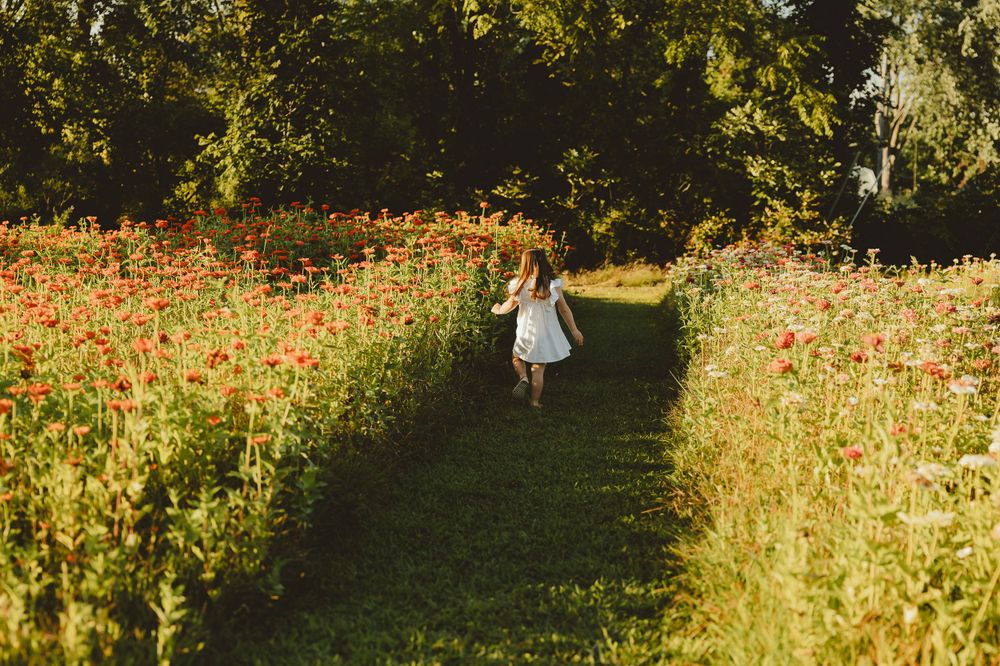 A distant figure in white dress walks through pathway between orange wildflowers at sunset.