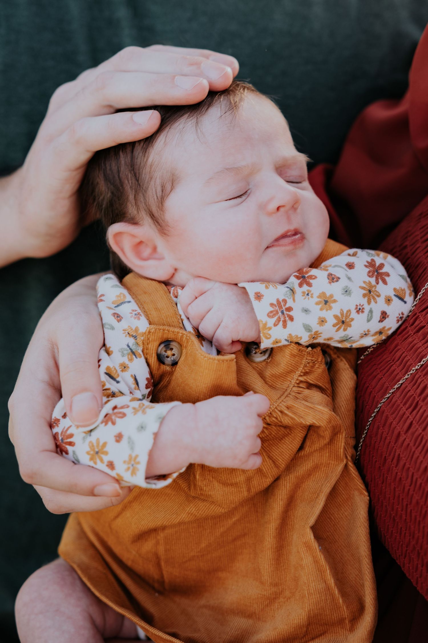 Sunflower Magic: Family & Couple Mini Photo Sessions at Southern Hill Farms in Clermont, FL