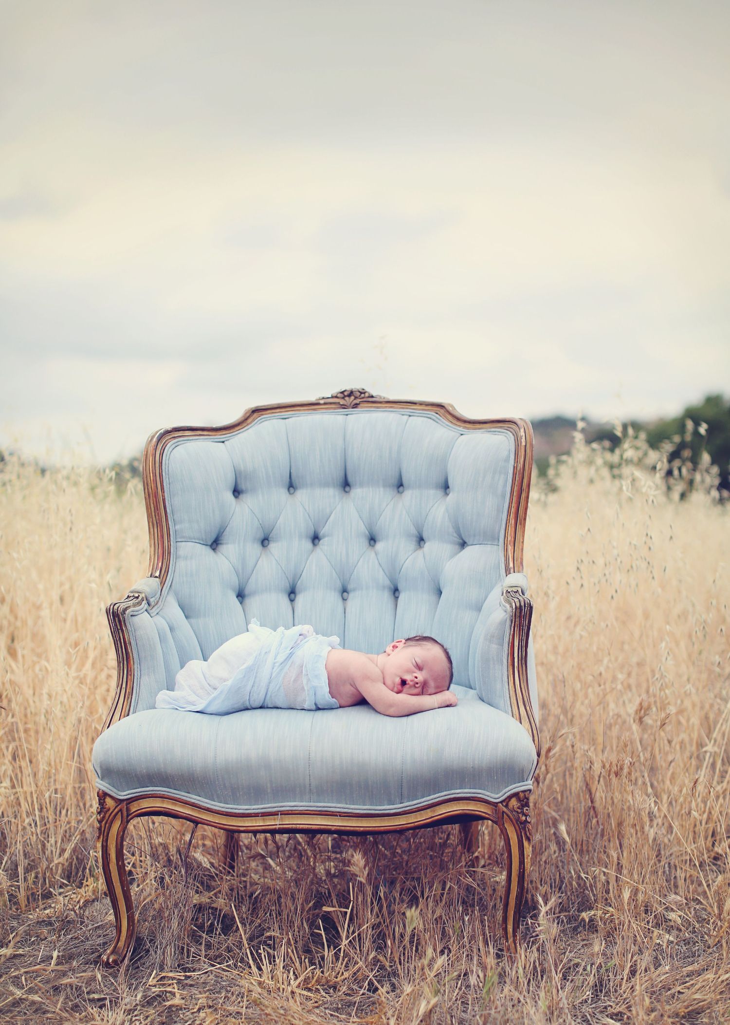 A vintage blue tufted armchair sits in a golden field with a baby in light blue clothing resting on it.