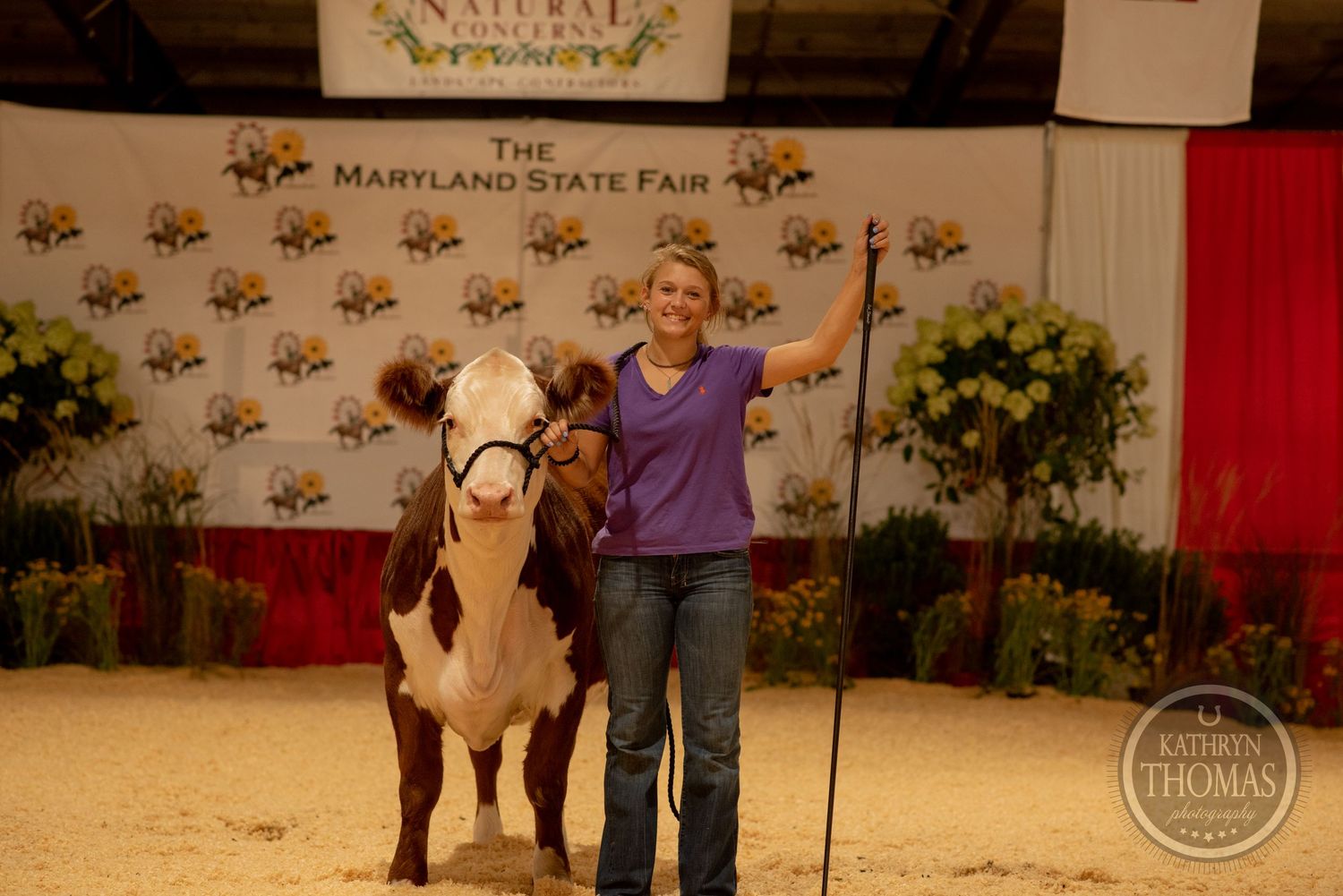 A brown and white show cow poses with its handler at the Maryland State Fair.
