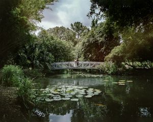 Romantic bridge over a lily pond in a lush garden setting.