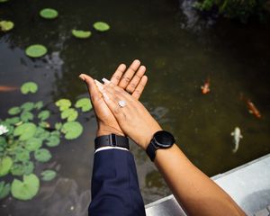 Close-up of hands displaying engagement ring over a lily pond with koi fish.