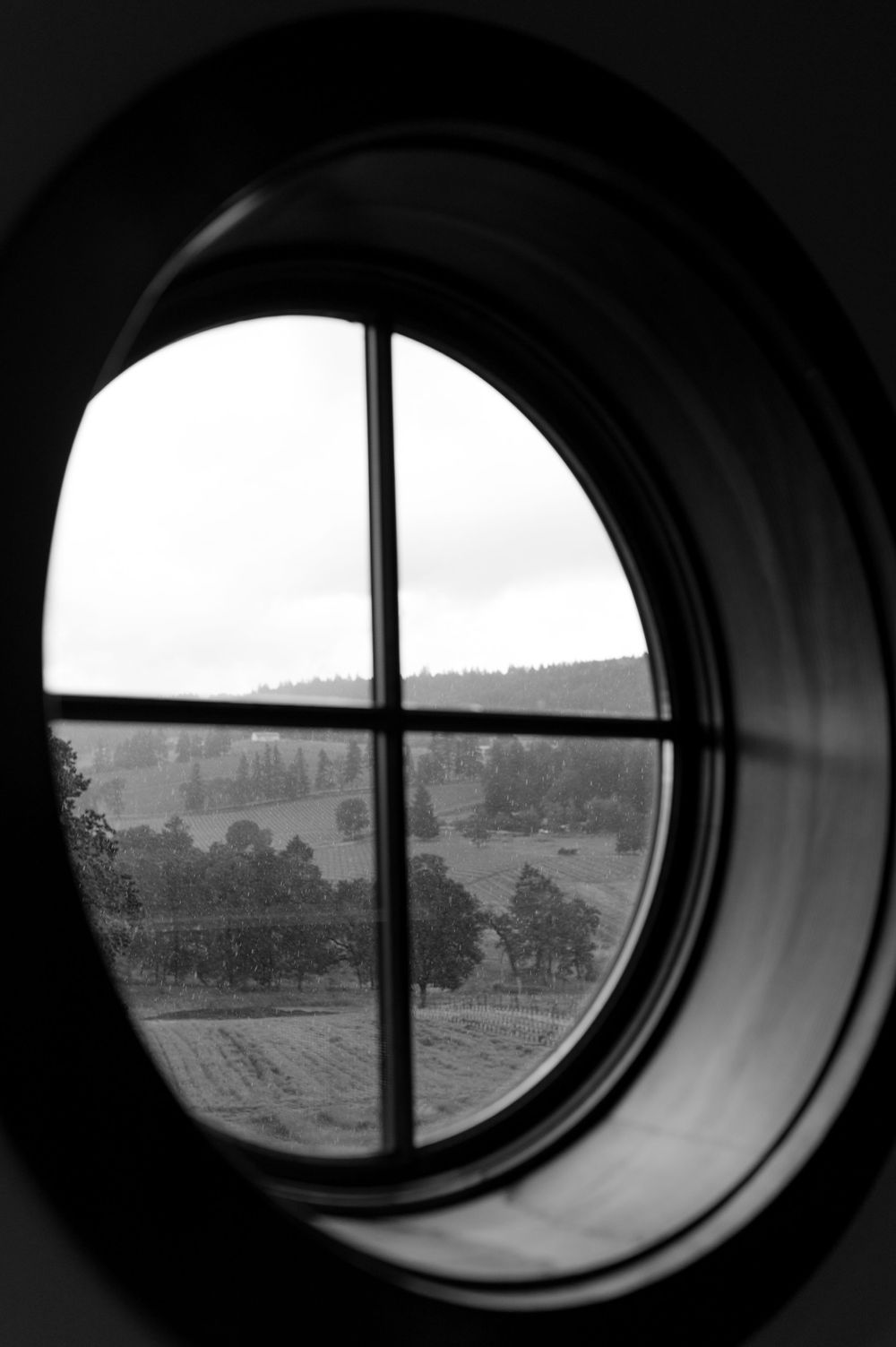 Artistic black and white view through round windows showing a misty landscape.