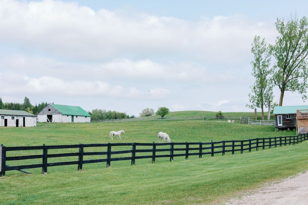 Rural landscape with black fencing and green pastures stretching into the distance.