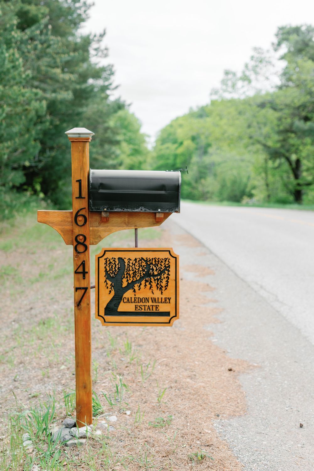 Wooden mailbox posts with numbers and signs along a country road.