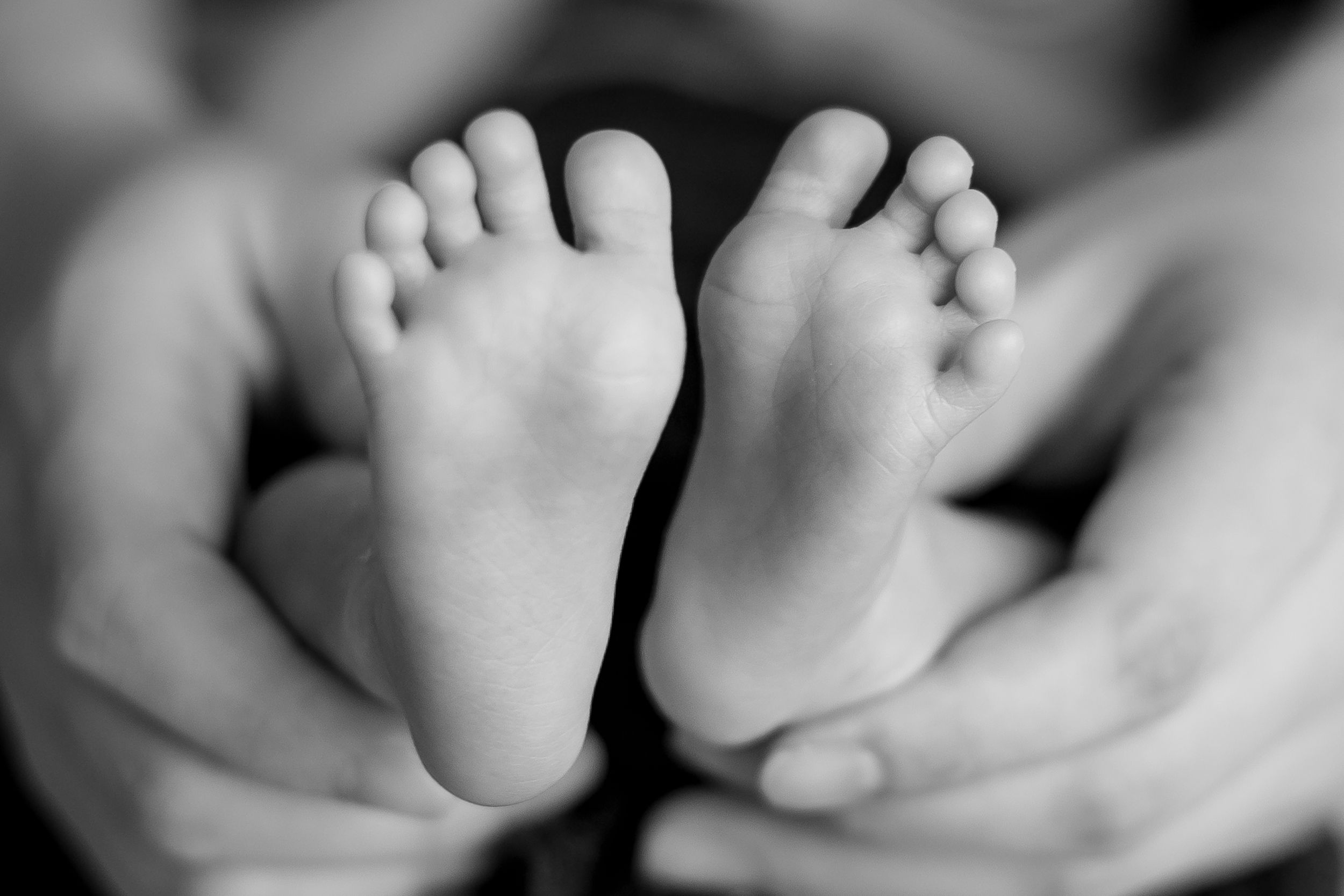 Close-up black and white photo of tiny baby feet held in gentle hands.