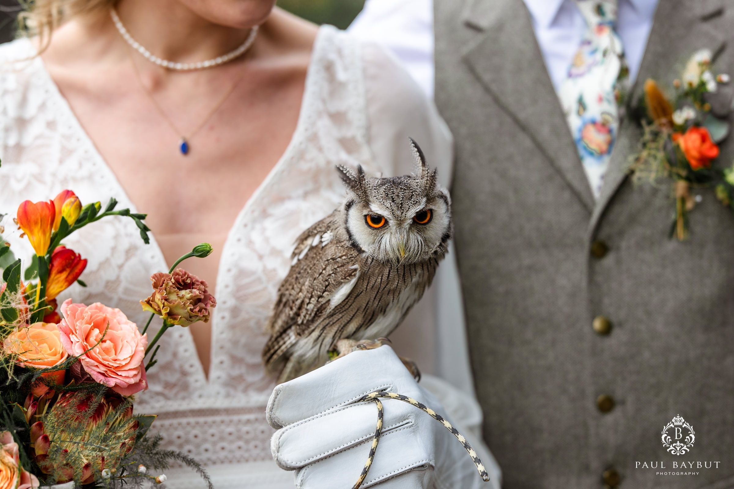 Close-up of a small owl perched between a wedding dress and suit during outdoor photography.