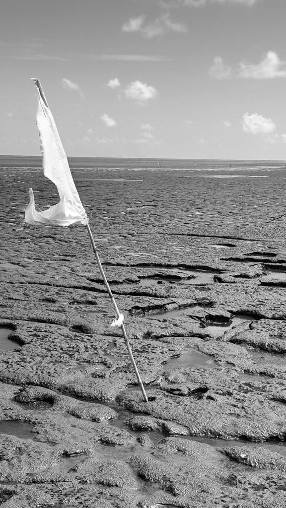 Seawall Guyana