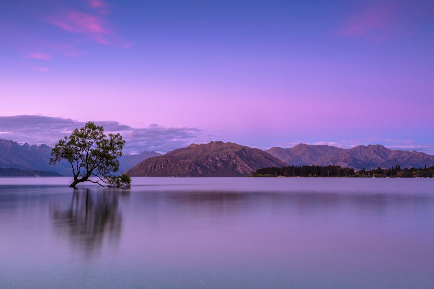Purple sunset over tranquil lake with lone tree silhouette and mountain range.