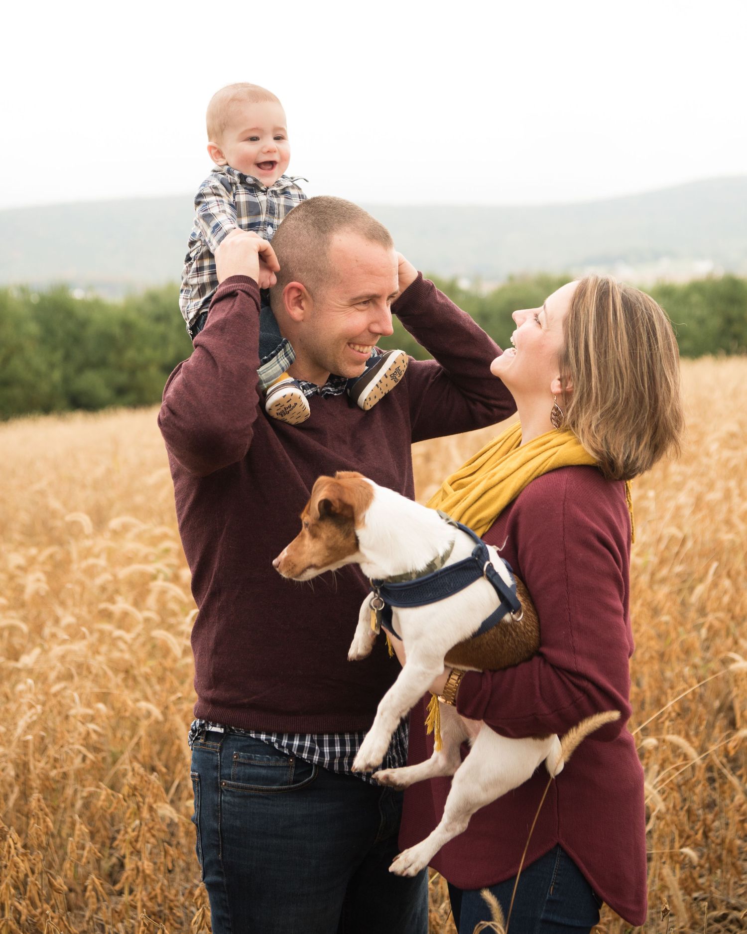 A happy family shares a joyful moment together in a golden wheat field with their jack russel terrier.
