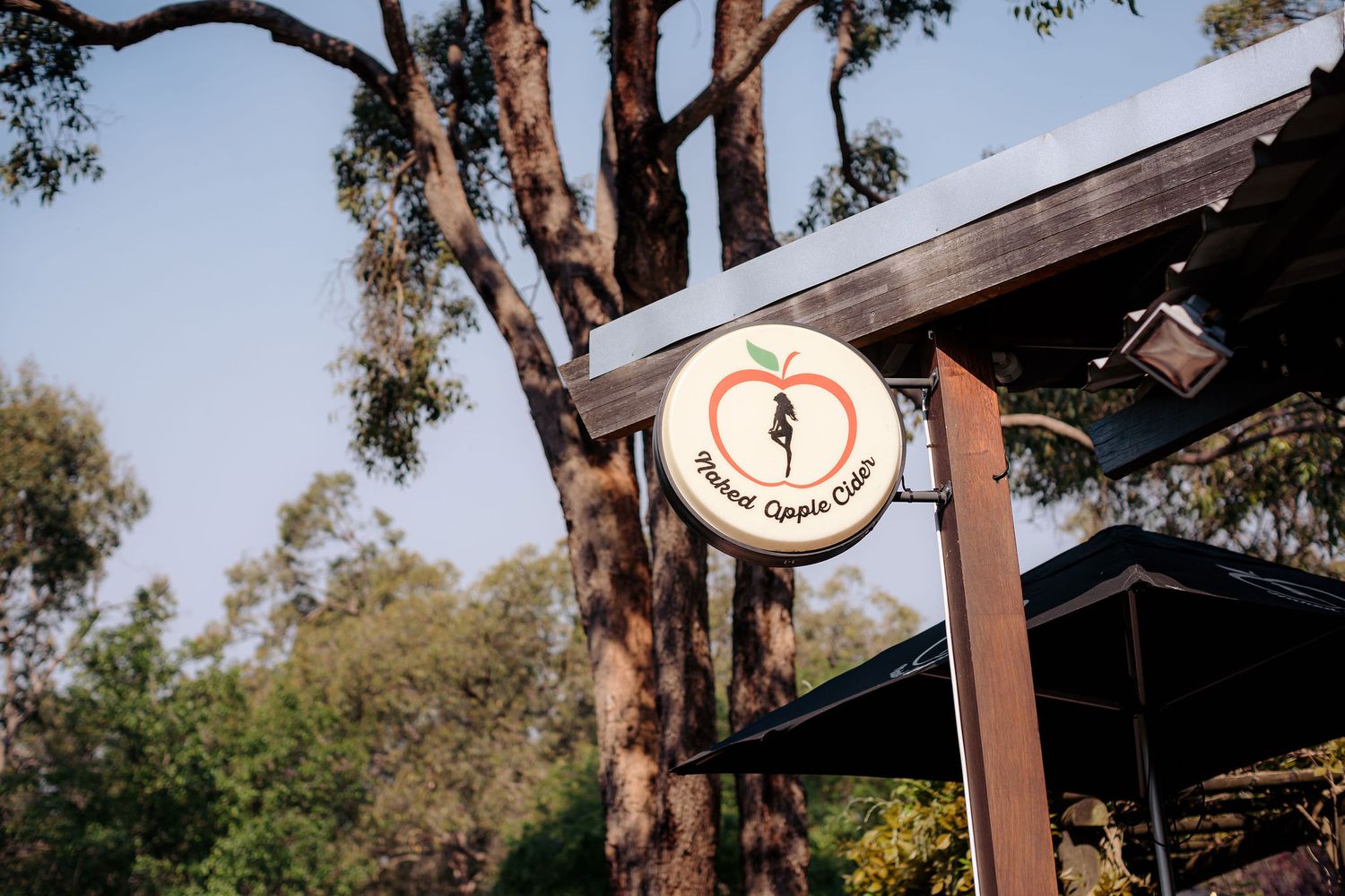 Rustic wooden sign post with circular emblem mounted against tall eucalyptus trees.