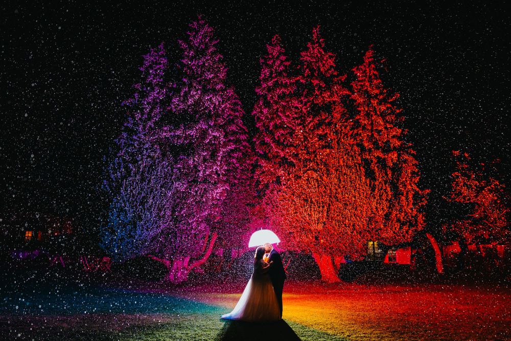 Wedding couple silhouetted against colorfully lit trees at night creating a dramatic scene.