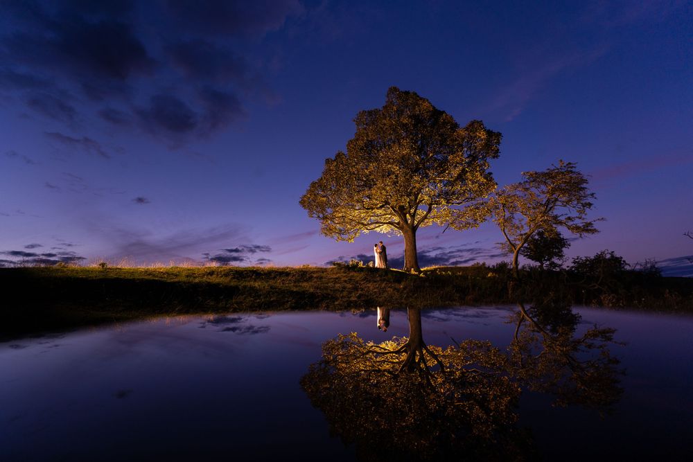 Panoramic sunset landscape with silhouetted trees against a deep blue sky.